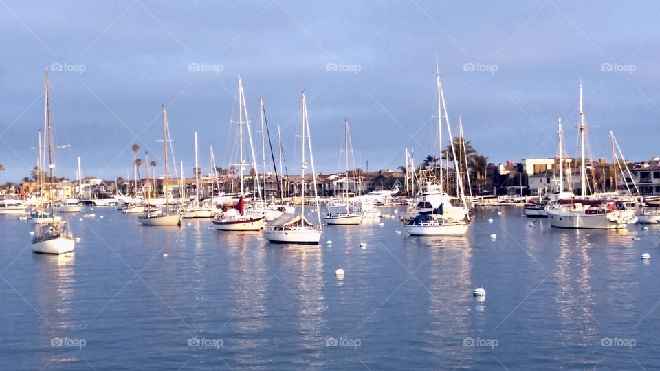 Sailboats in Newport Harbor, California . Newport Beach, CA has one of the largest recreational harbors in Southern California. sailboats with blue wash