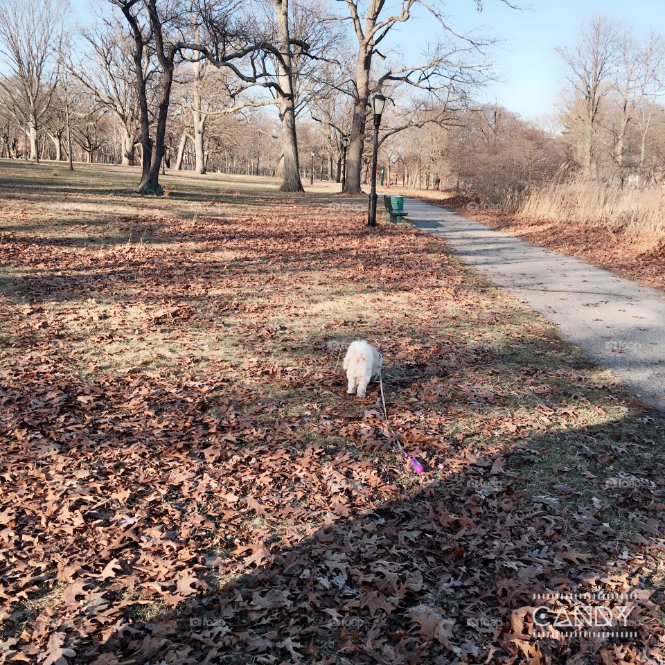 A good walk is good for the soul, being surrounded by nature is a beautiful thing.