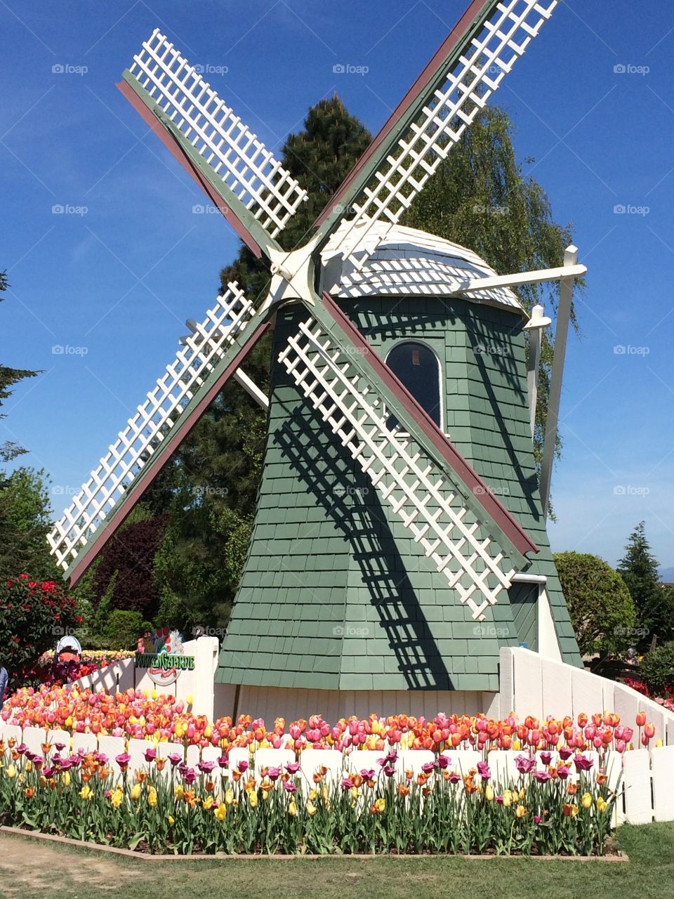"Windmill"