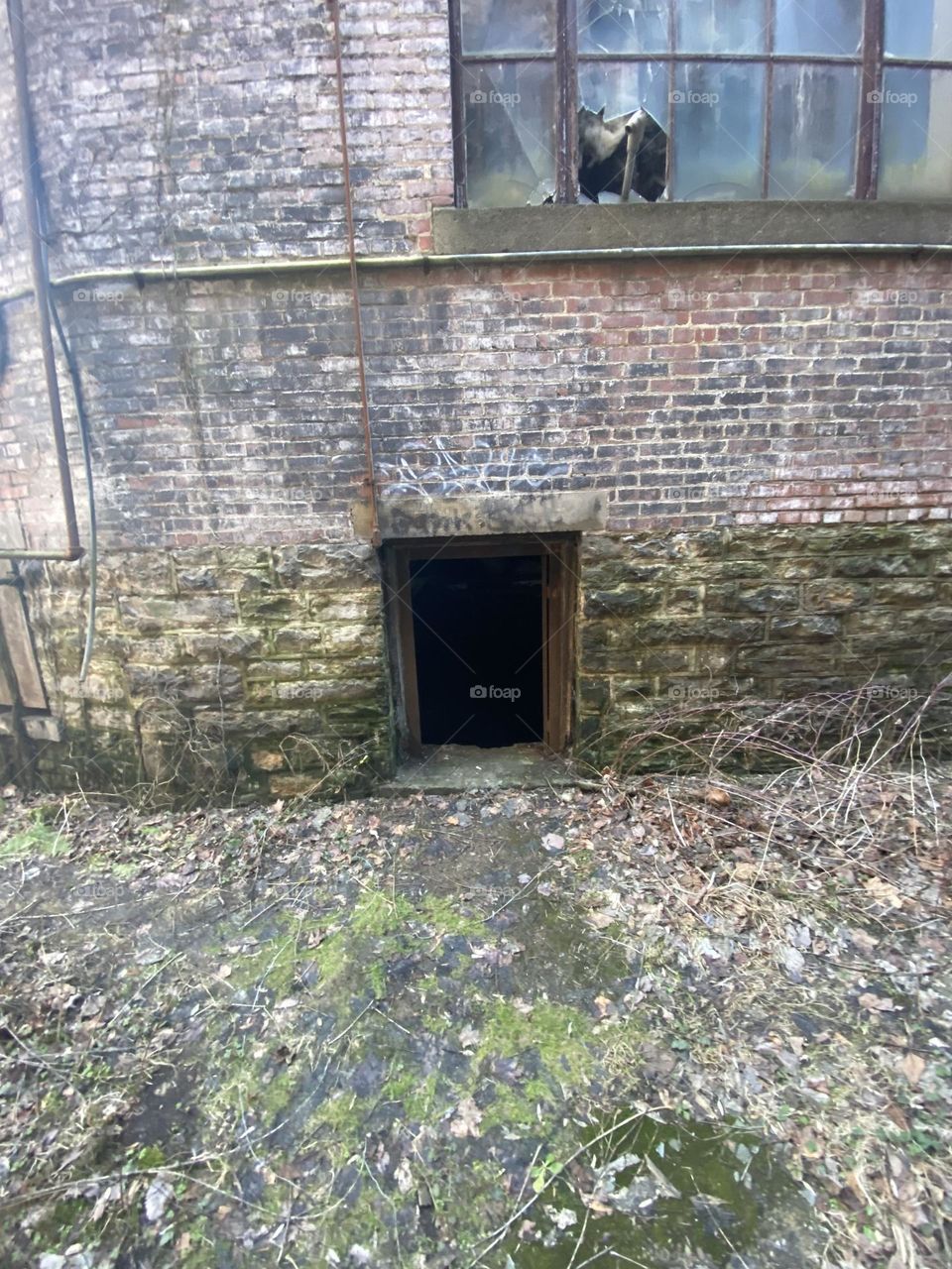 What’s in the whole 