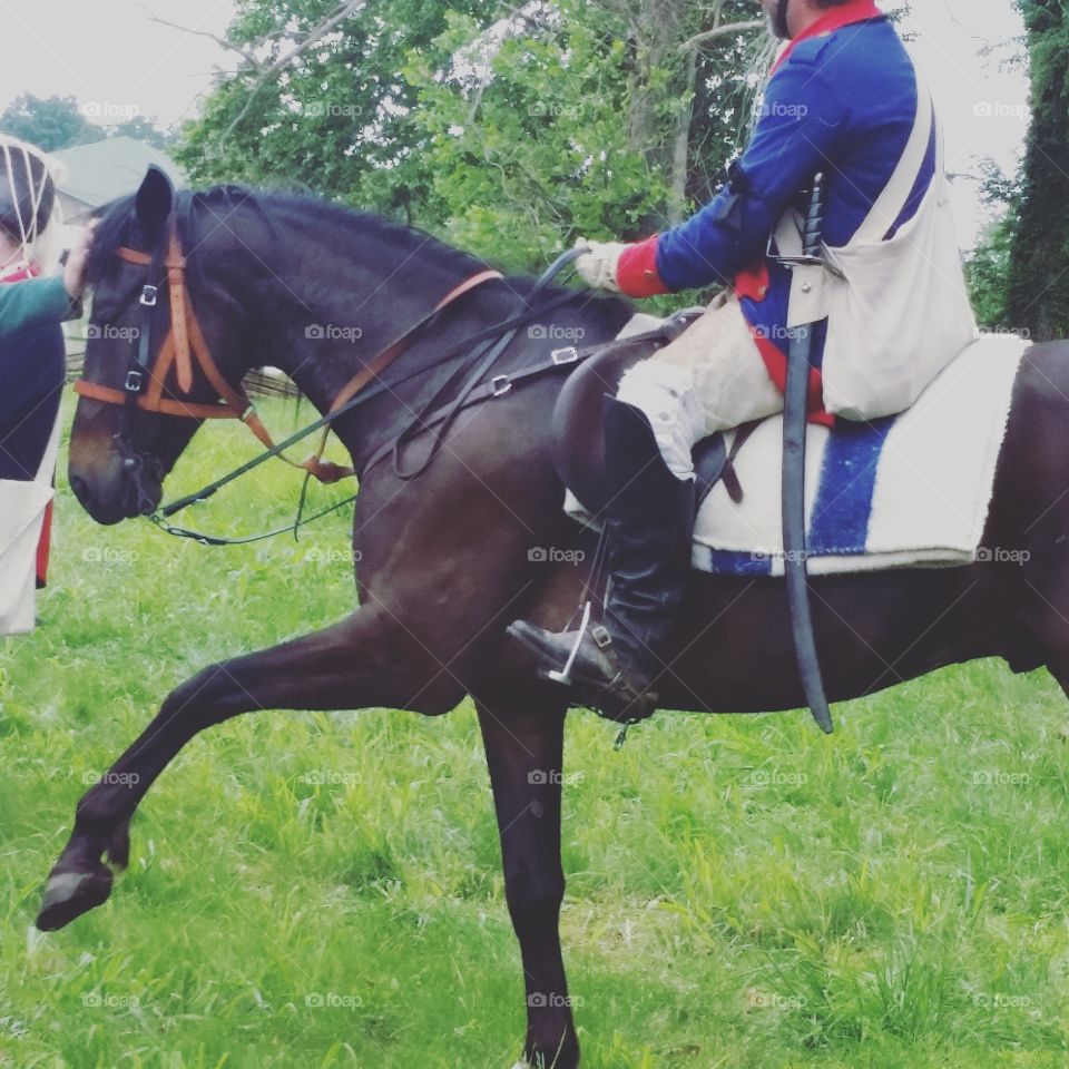 prancing horse, rider wearing American Revolutionary War uniform