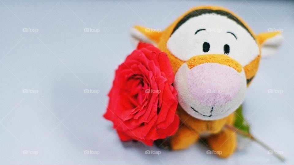 Flower for you from tiger