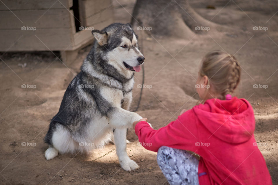 Girl and smiling dog