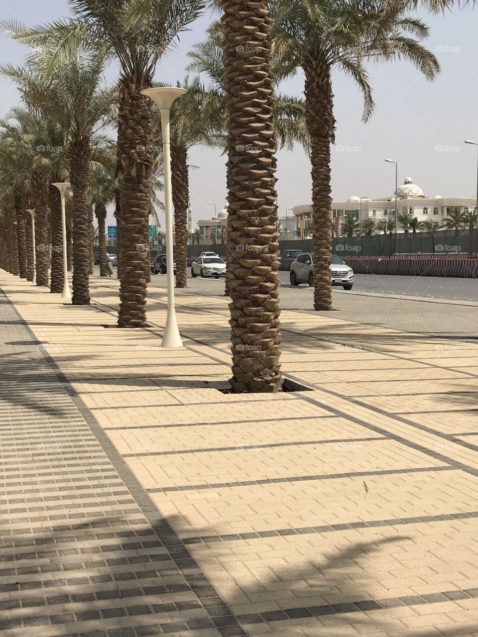 King Abdullah Rd. Riyadh 