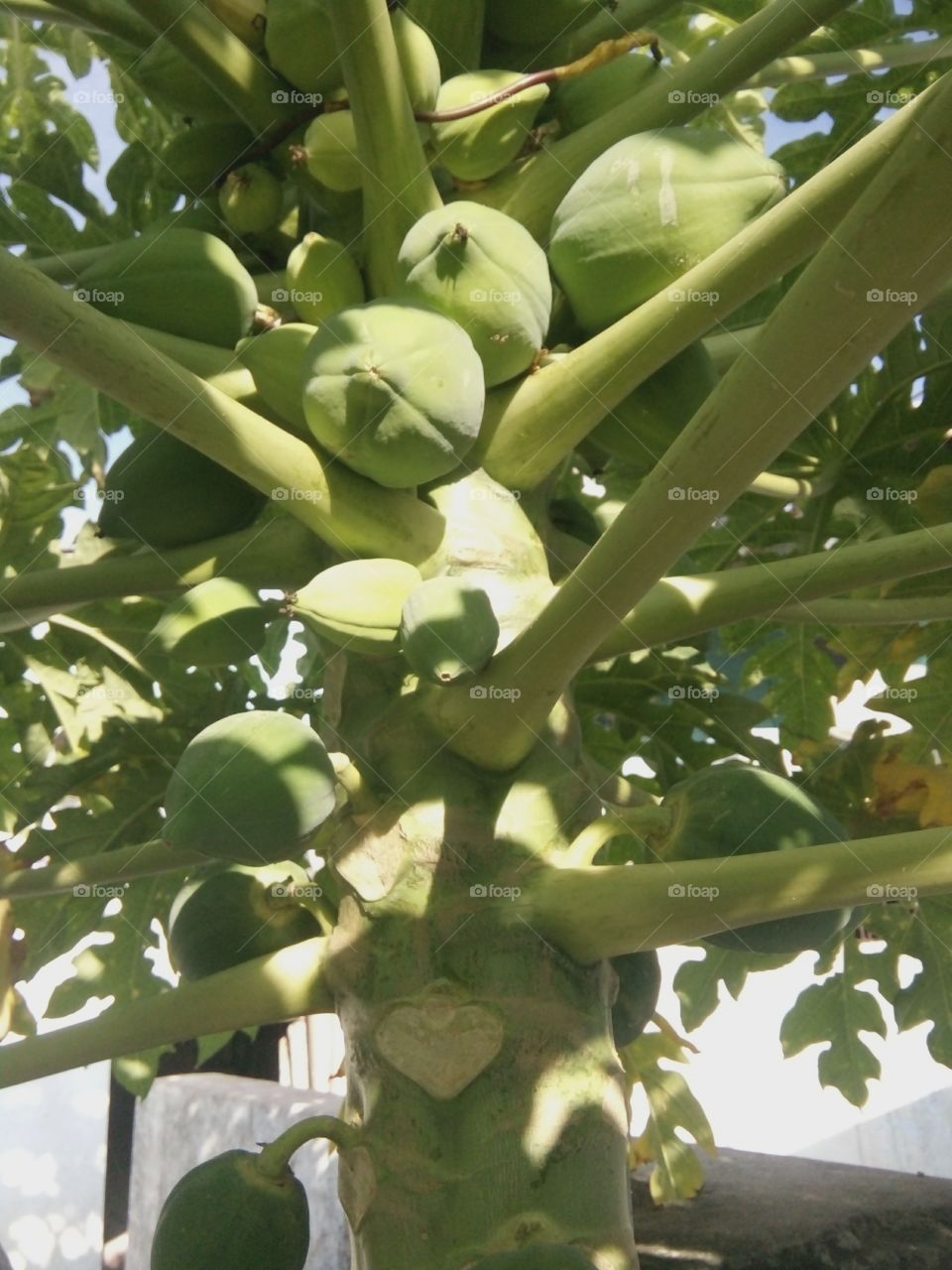 A great photo,a photo for everyone, a memorable photo,a no. photo,a cherished photo,a beautiful photo,a great photo for the best people,a sample of beautiful photography,nice pics for all