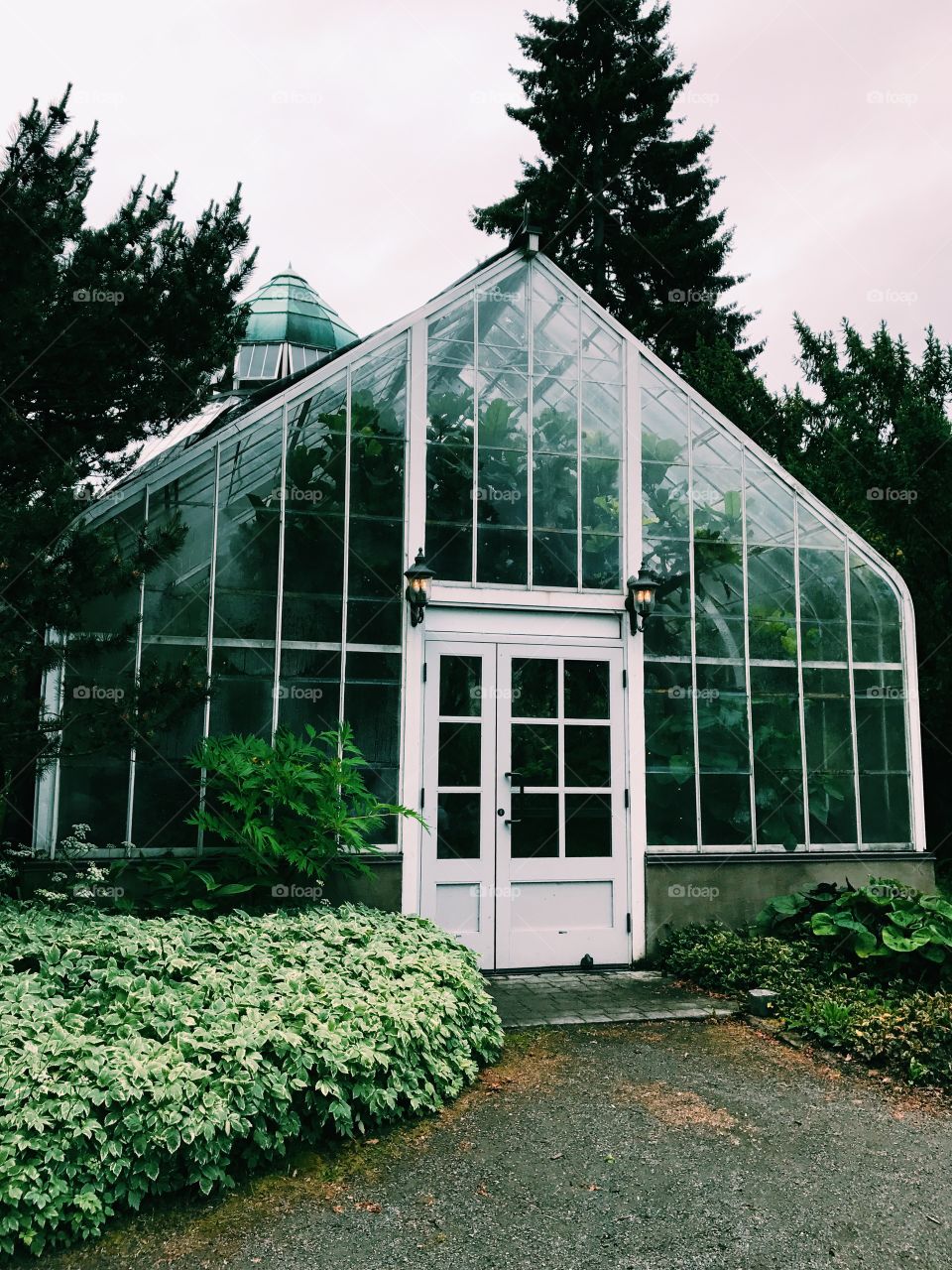 WW Seymour Botanical Conservatory 