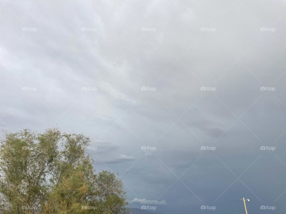 Dark grey clouds and a tree.