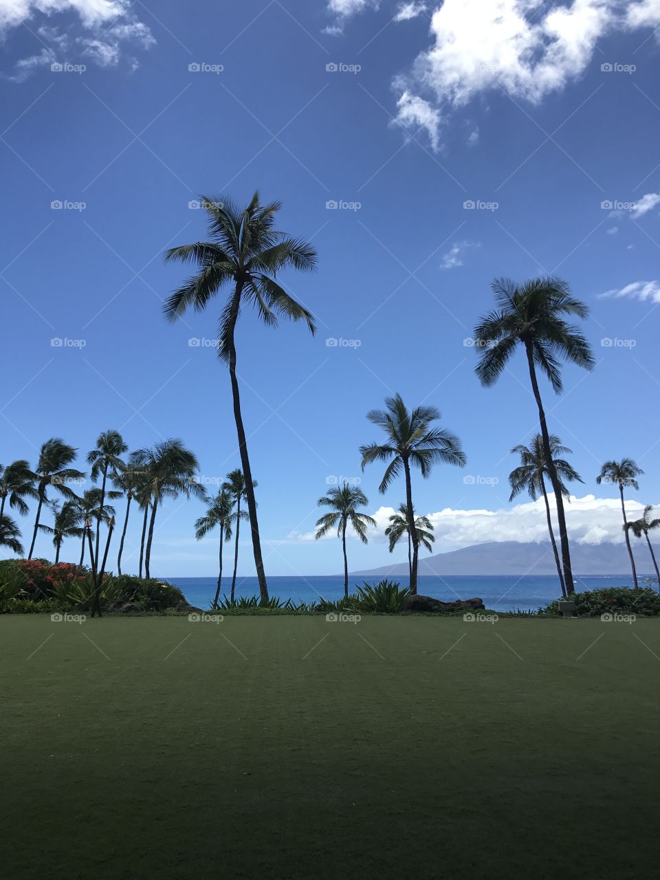 Maui 