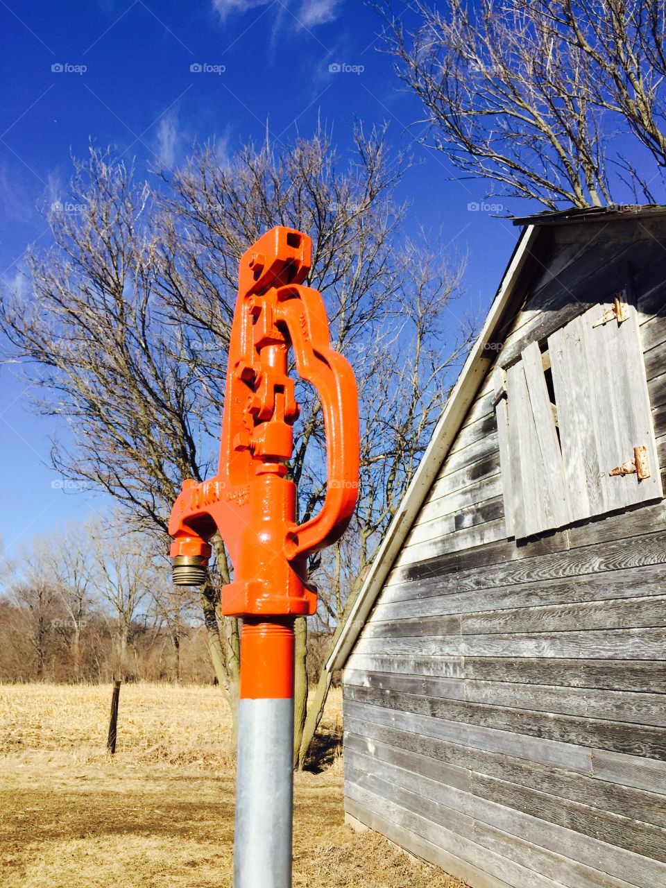 Orange Color Story - water hydrant 