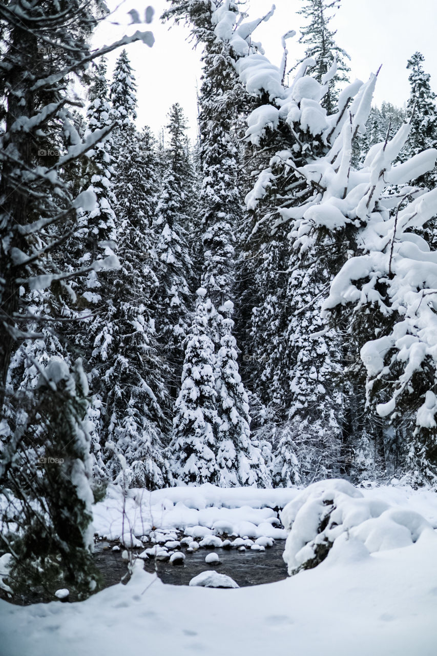 Snowy winter days in the mountains. Going on a nice morning hike up to a gorgeous mountain hot spring for a nice soak. 