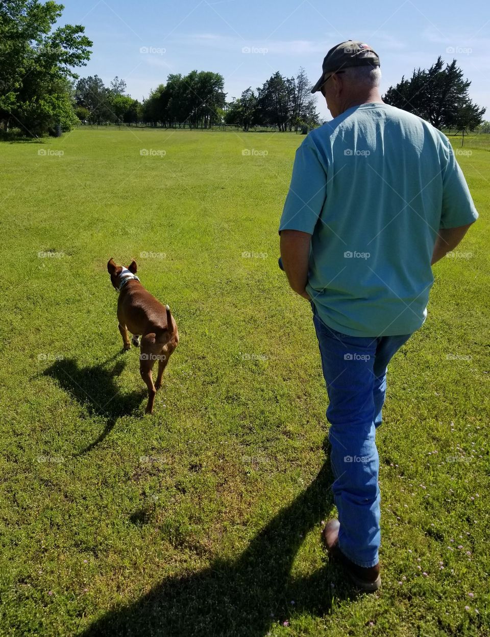 A man & a trotting dog walking together in a grass filled field