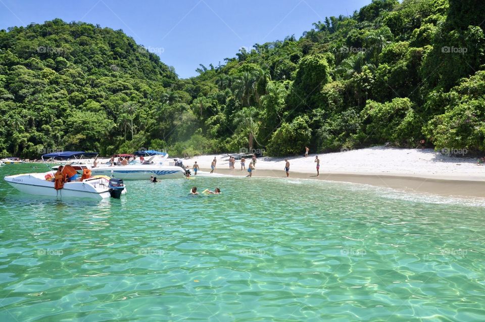 Brazil beach landscape