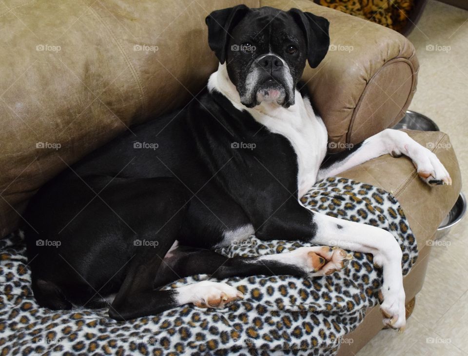 Time For A Little Relaxation!