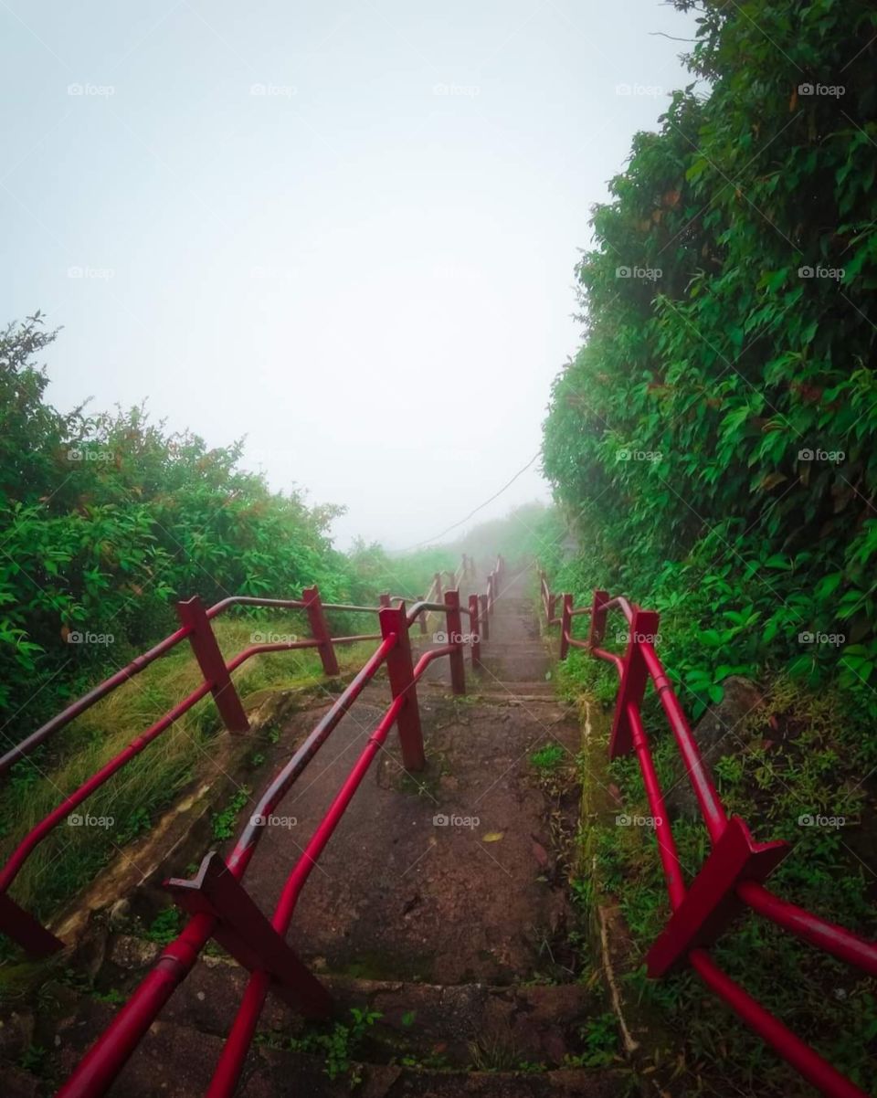 Rain covers the scene from up