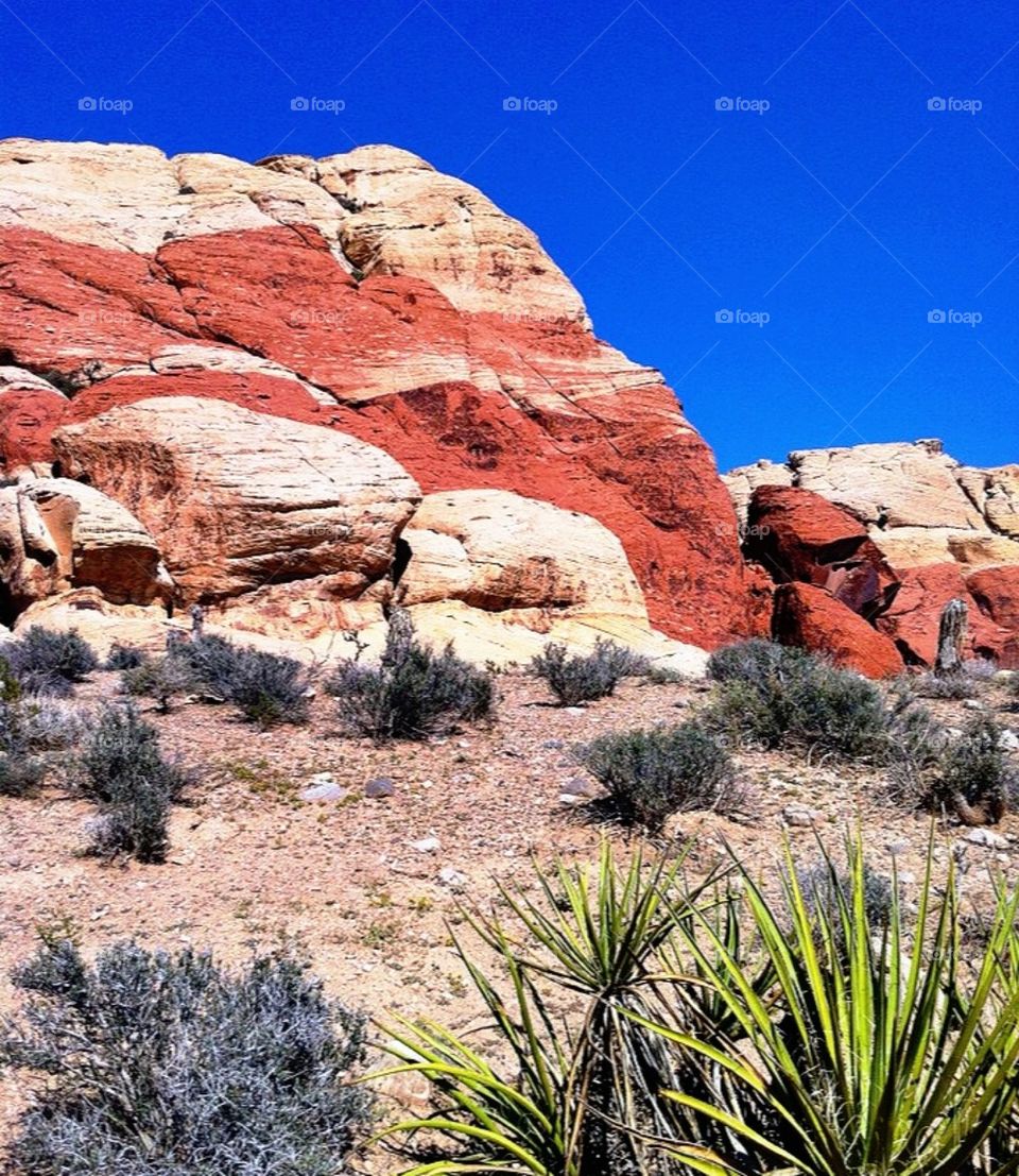 Red Rock Canyon