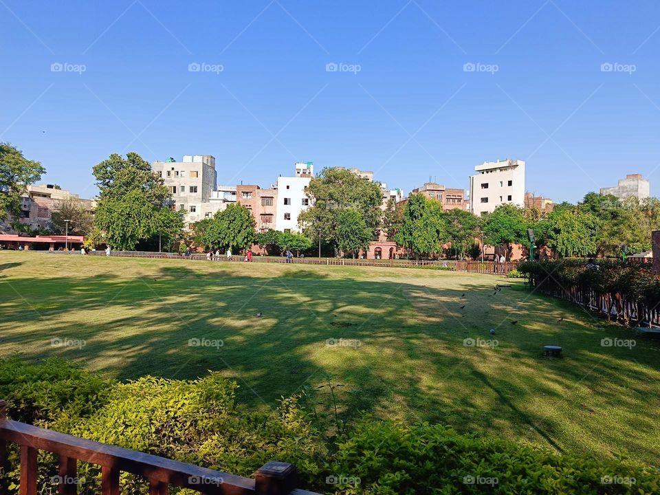 a beautiful day in the garden