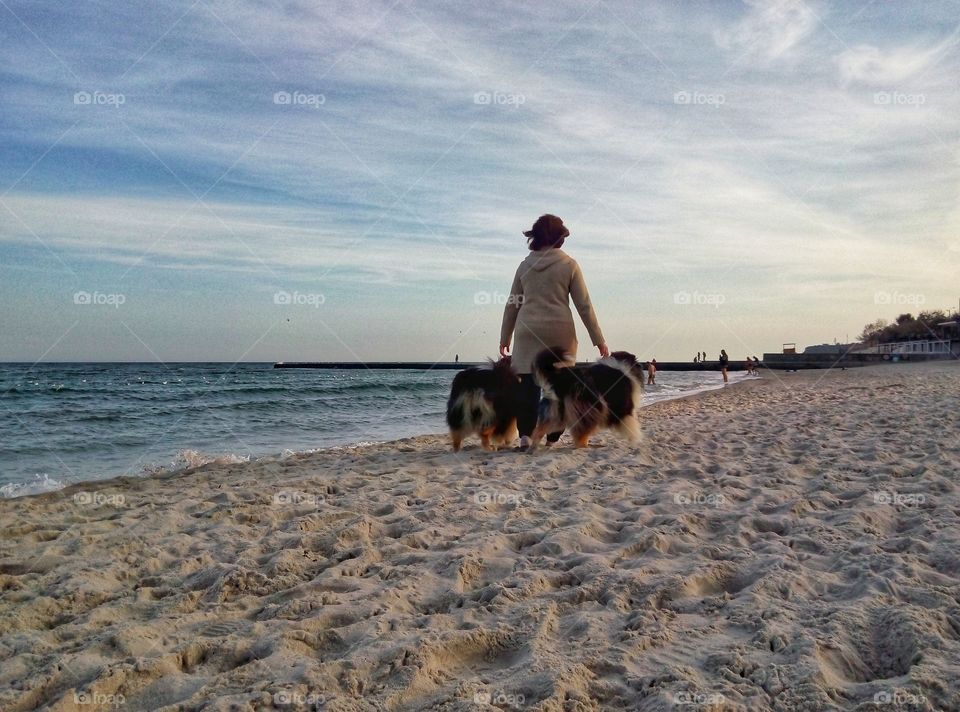 walk with the dogs along the sea прогулка с собаками вдоль моря
