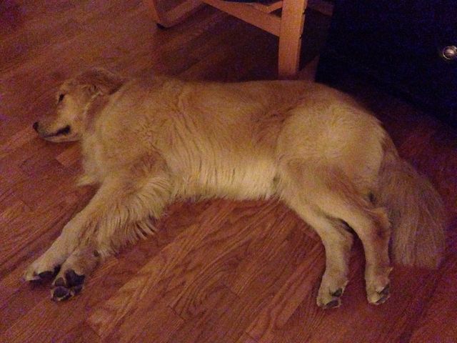 Resting