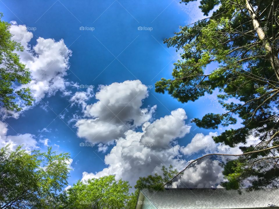 Indiana summer sky