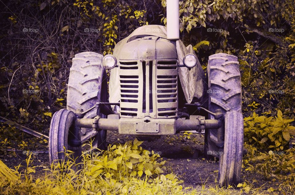 Take the Nostalgic Way Home (Series)