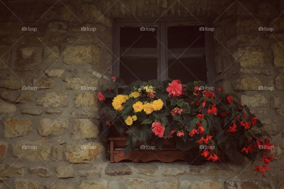 Floral window