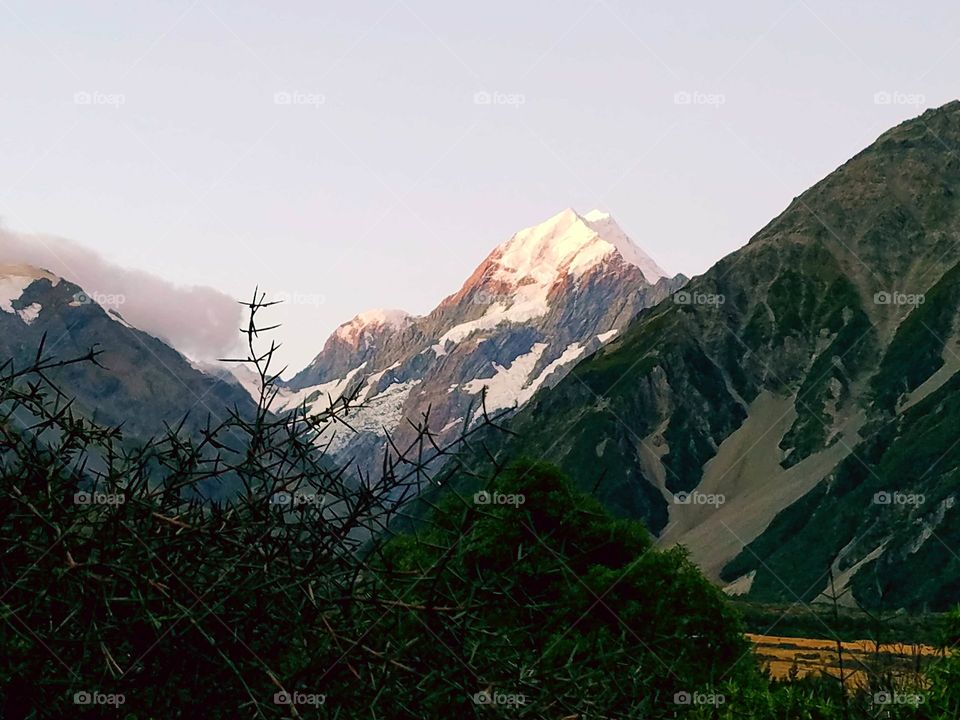 Majestic Mount cook