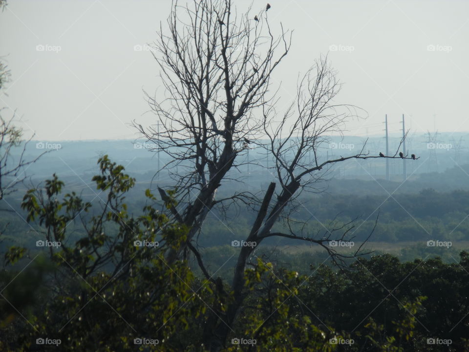 birds eye view 2. This is another picture I took while standing on top of a hill. 👣 🚶 🏃 🔥 💨