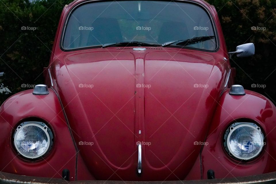 A red VW Bug looks like it enjoys the California scenery