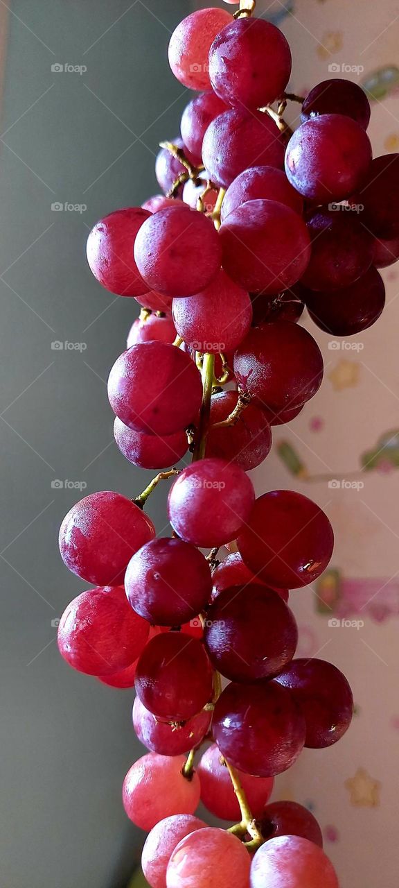 Grapes to happiness