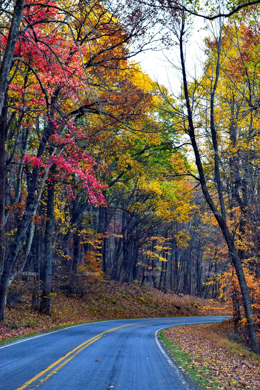 colorful countryside drive