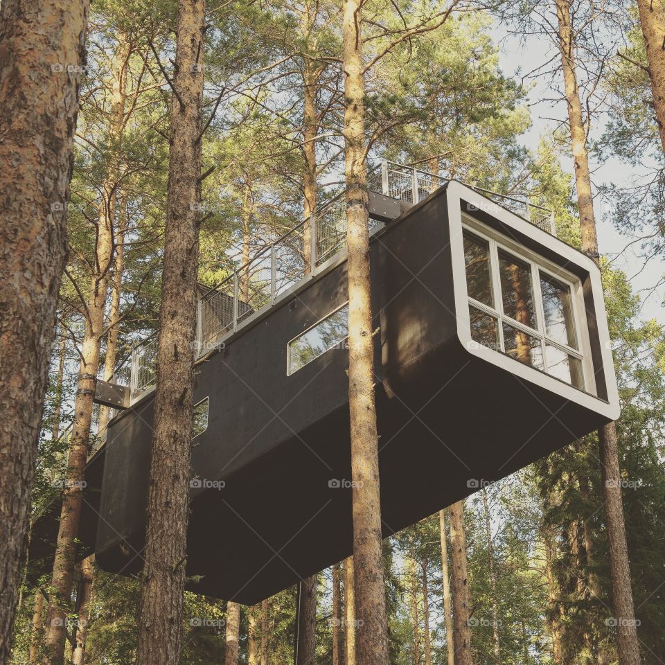 modern treehouse