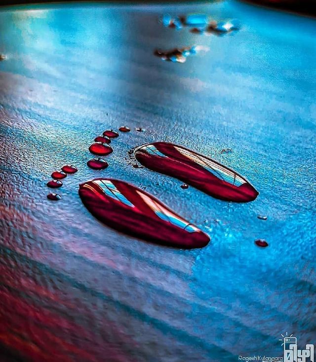 blood drops