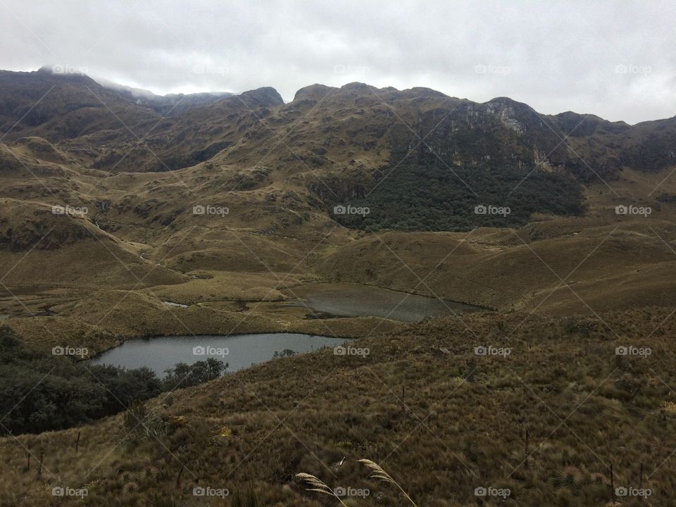 Parque nacional cajas 