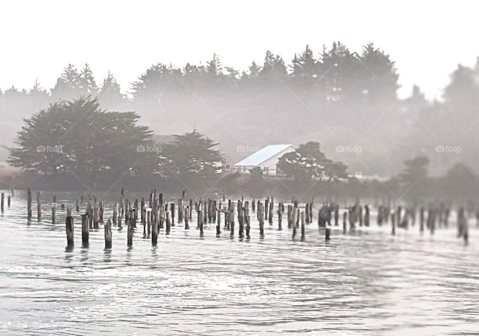 Bandon in the mist