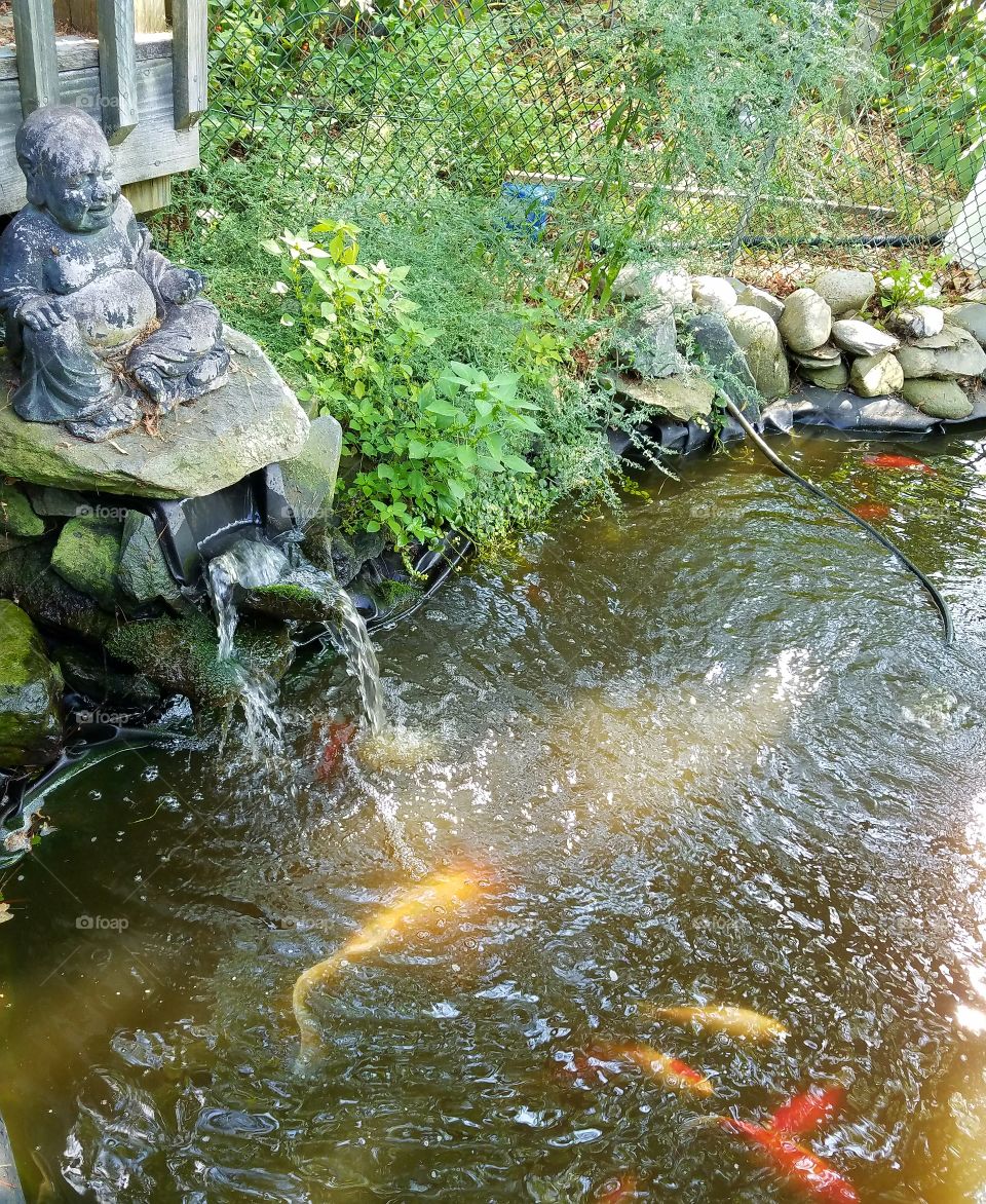 Koi pond with Buddha & waterfall