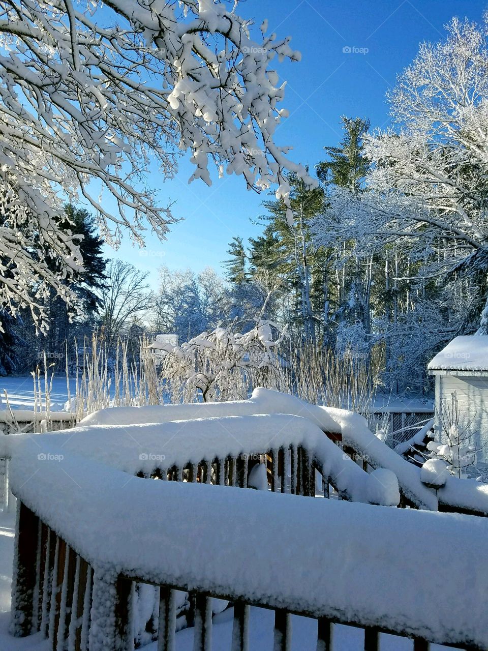 View of winter scene, blue sky, white snow. Sunshine and shadows on the snow.
