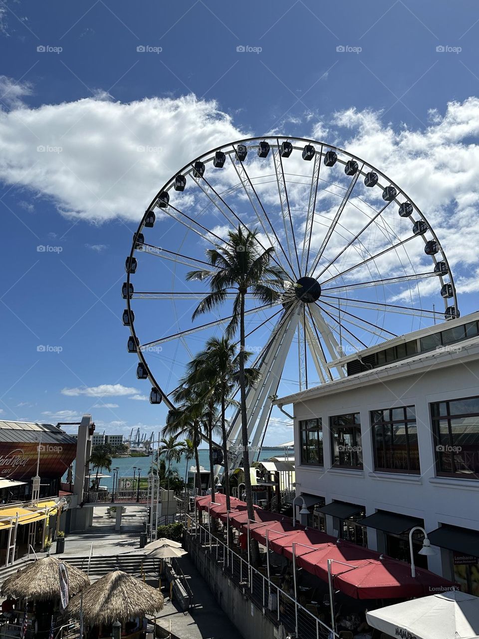 The sky wheel in the Bayfront district of Miami 