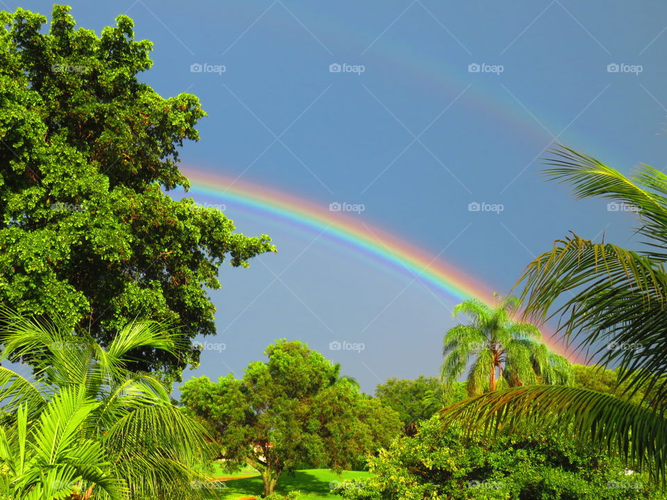 Somewhere...... a rainbow in my backyard