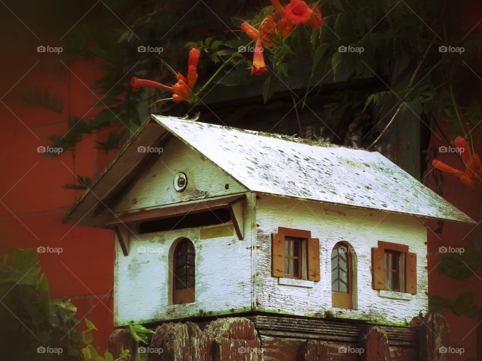 little wood house mailbox