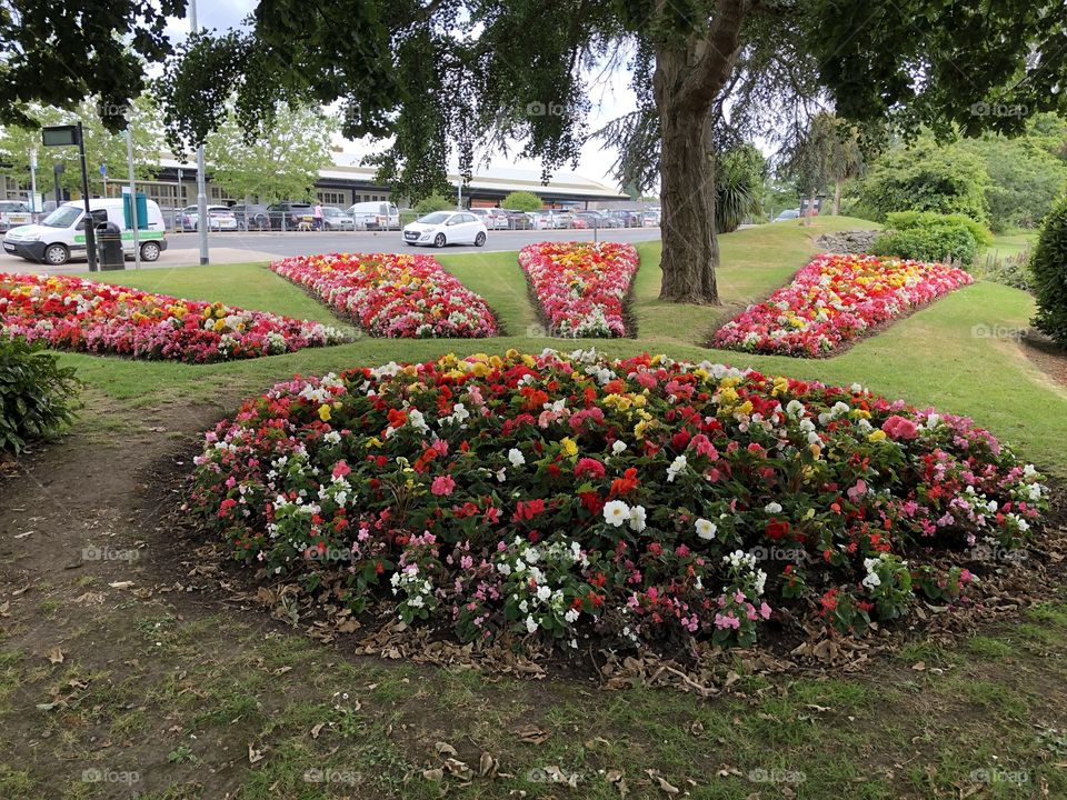 This photo captures all of the delightful borders of Courtney Park in Newton Abbot, UK.