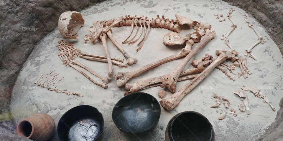 bones of man in museum sorrounded by grave goods