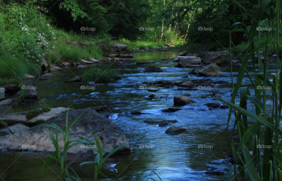 Beautiful blue sky reflecting off moving water in creek in Pennsylvania woods 