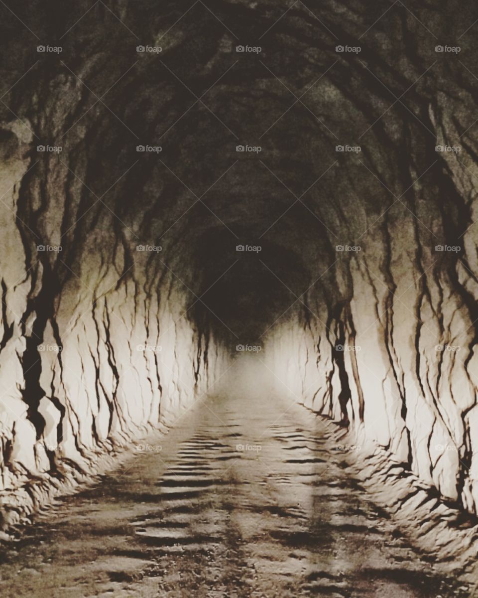 tunnel of doom