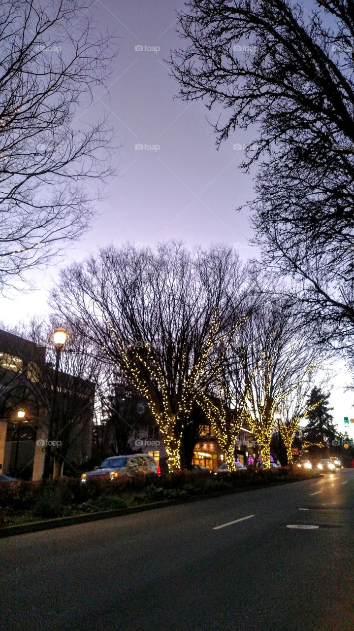 City Christmas lights.