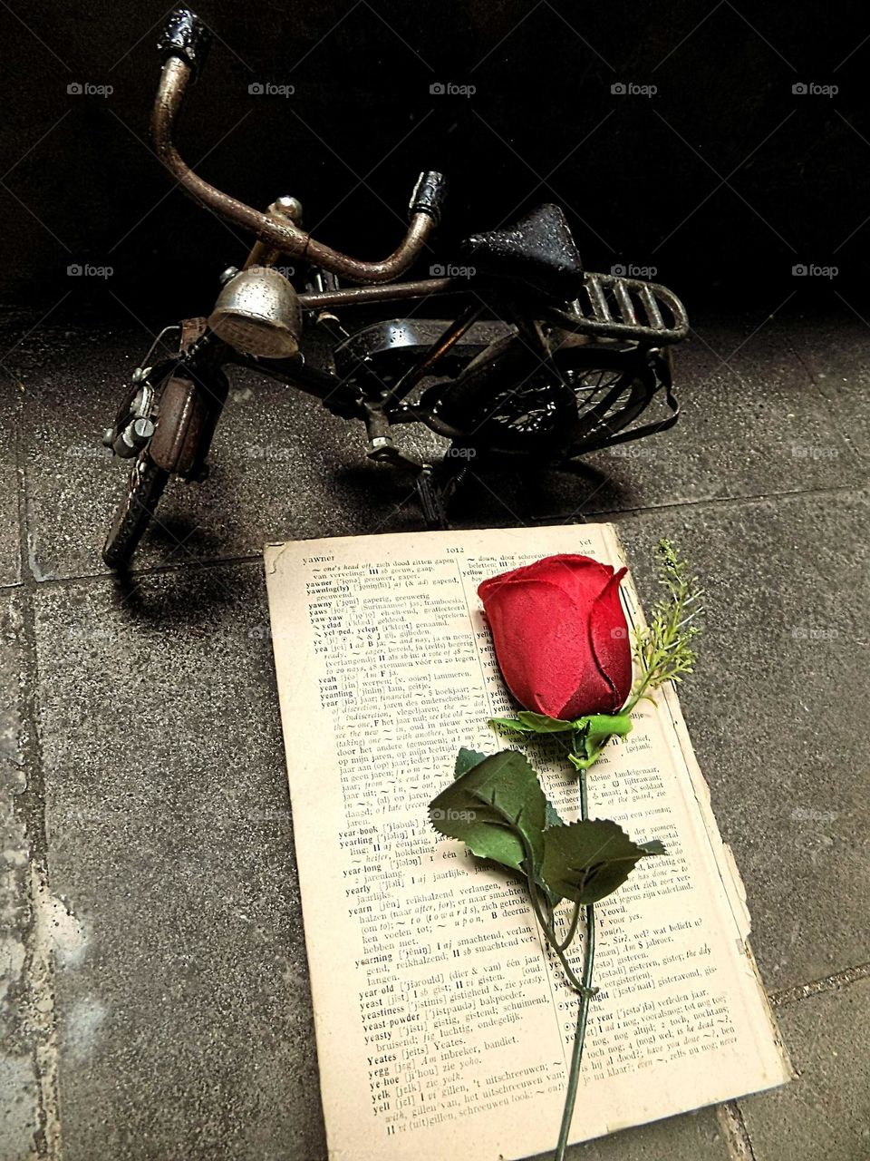 The meaning of love in a book