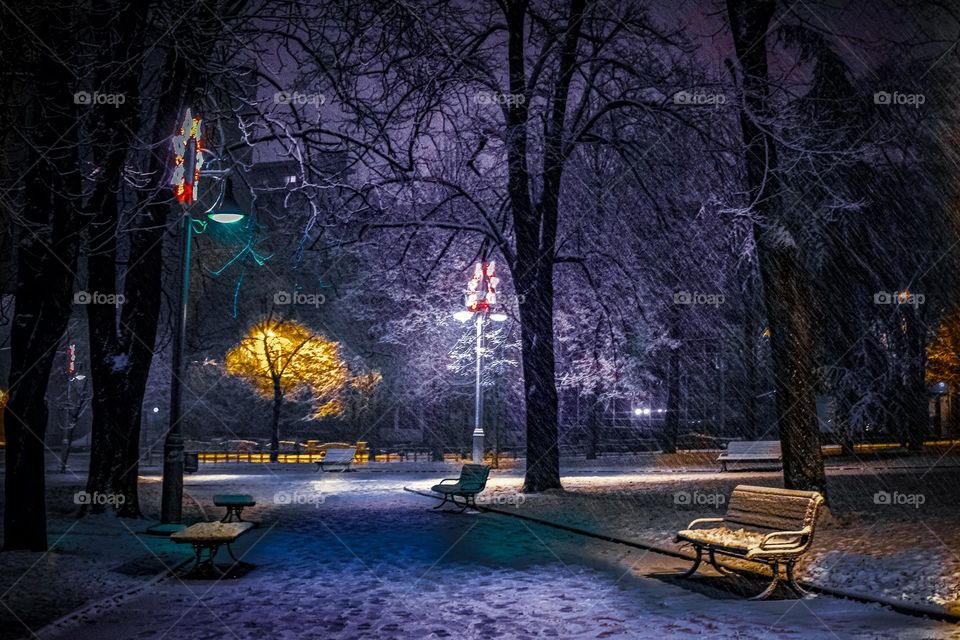 Park at the night in the winter