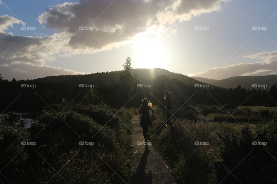 Landscape, Mountain, Tree, Daylight, Sky