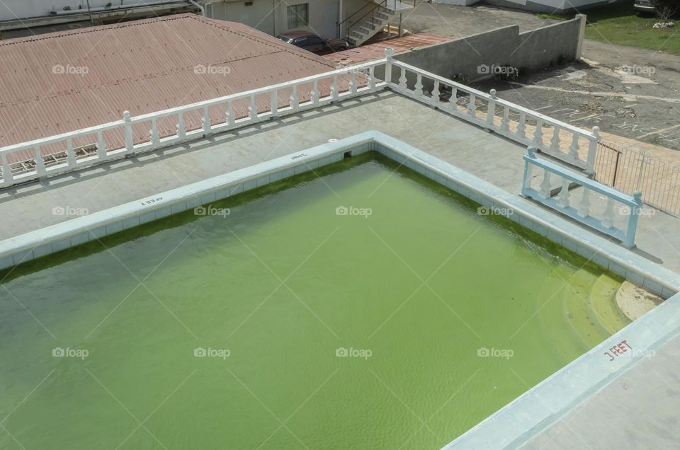 Green Untreated Water