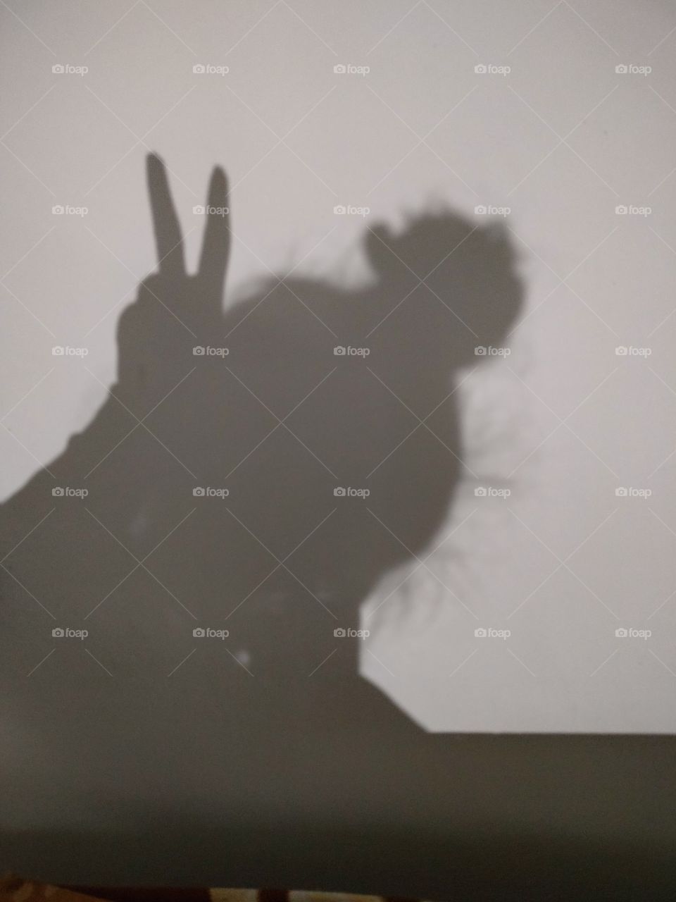 Your identity is like your shadow, not always visible and yet always present... viewing myself in my shadow...messy hair always looks best.✌️