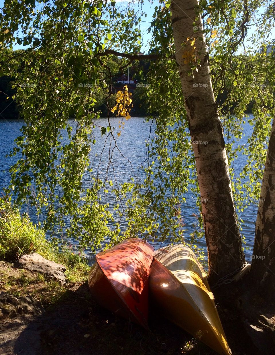 September, lake, Mälaren, sun, canoes, Sweden, water,